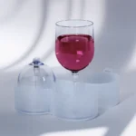 Edle Plastik Weingläser im 2er Set mit Transportbox