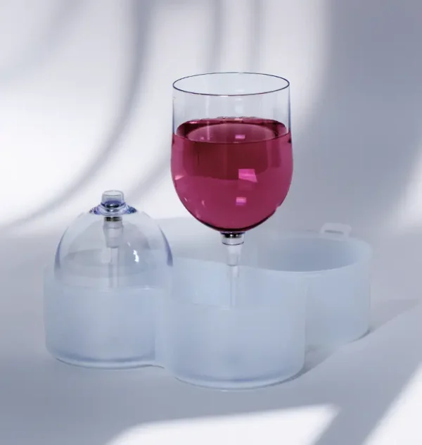 Plastik Weingläser im 2er Set mit Transportbox